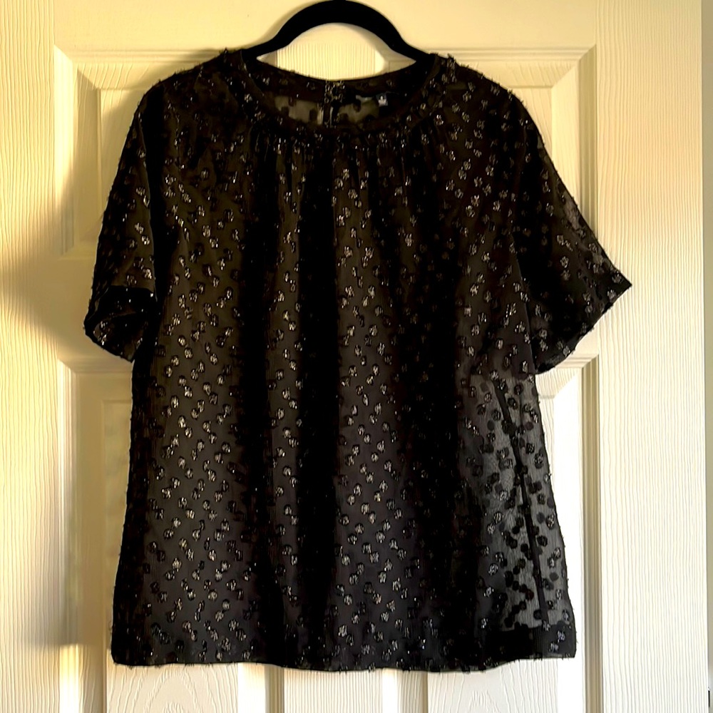EUC || Size Small || Cute, shimmery & sheer Madewell top!